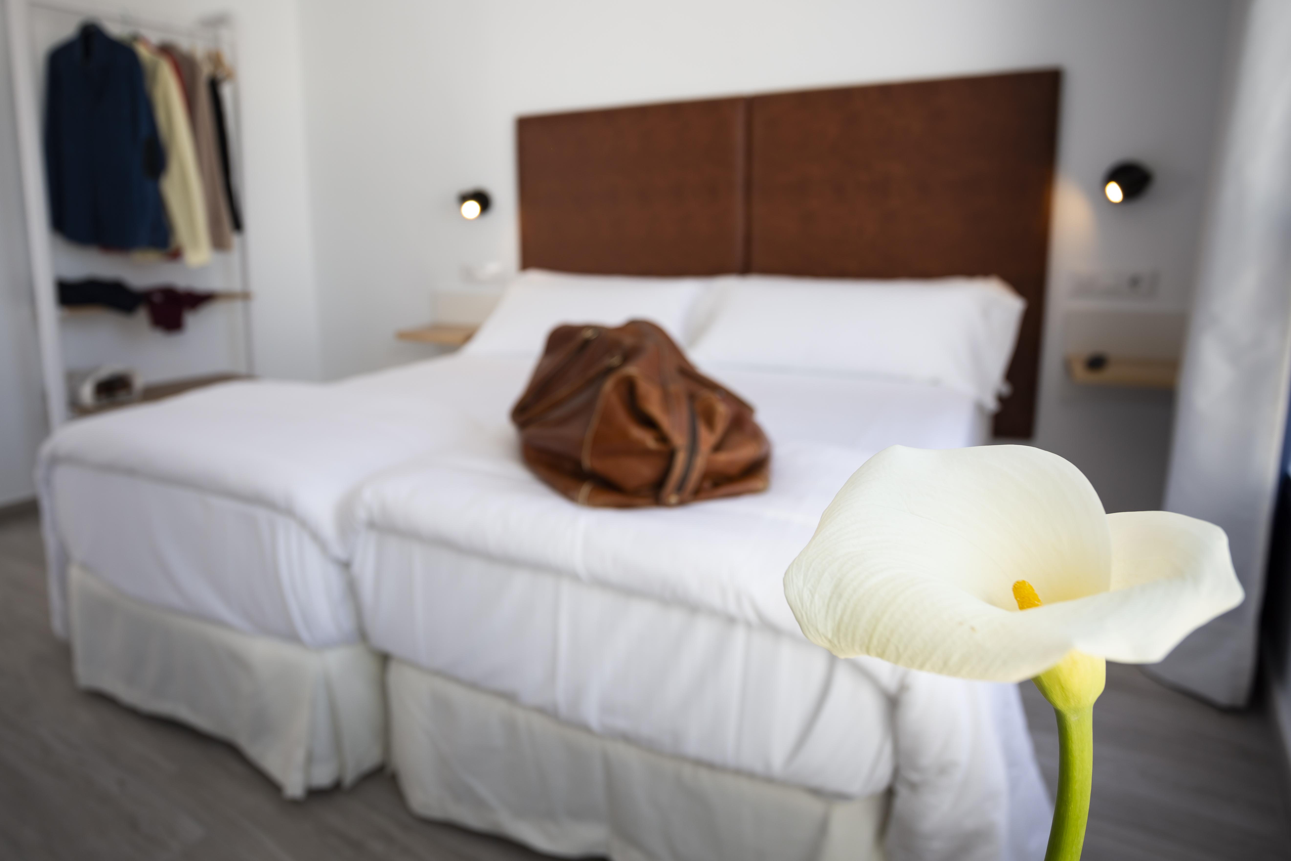 เบสิก โฮเทล เซบียา คาเตดราล Hotel เซบีญา ภายนอก รูปภาพ